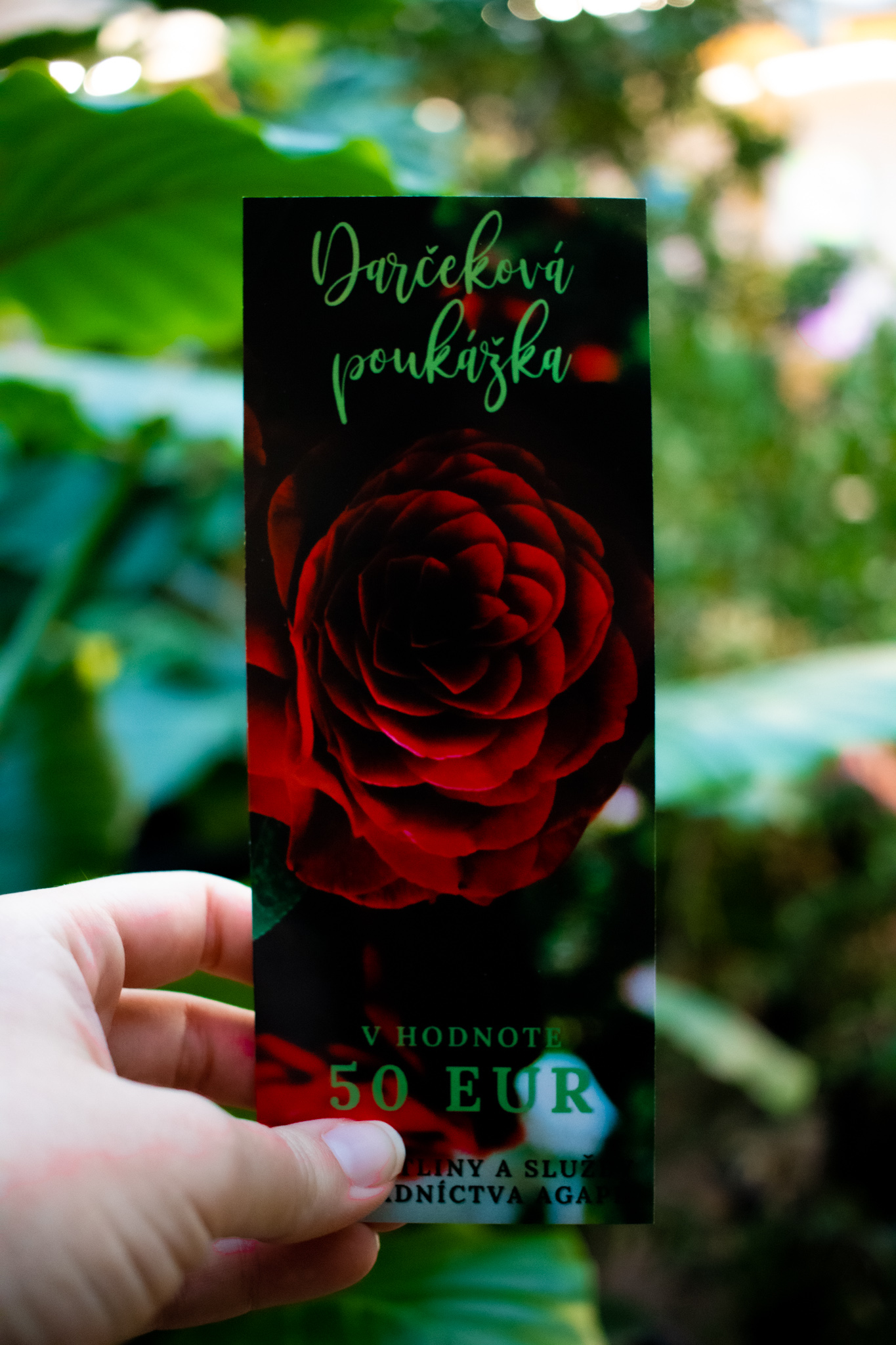 Poukazka-Camelia-25