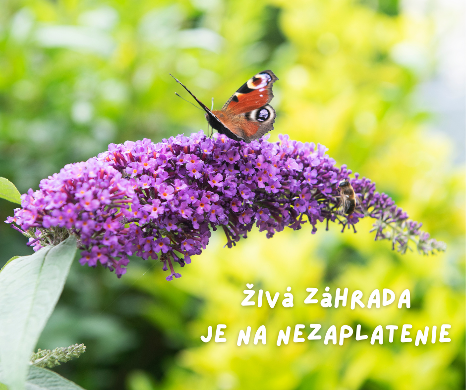 Živá záhrada je na nezaplatenie